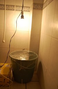 tnDSC_0724.JPG