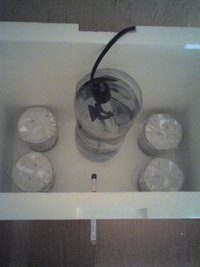 05-09-08_0212.jpg