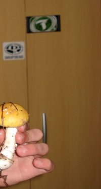 DSC02902.JPG