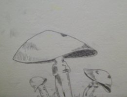 100_8805.jpg