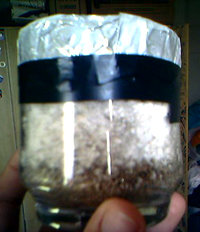 01-12-07_1223 edited.jpg