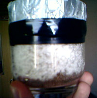 01-12-07_1224 edited.jpg