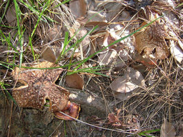 DSCF3895.JPG