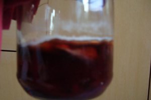 DSC00578.jpg