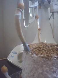 25-10-08_0906.jpg