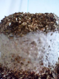 29-10-08_1323.jpg