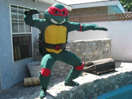 Ninja_Turtle.JPG