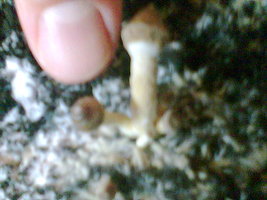 Imag022.jpg