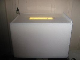 DA992556.jpg