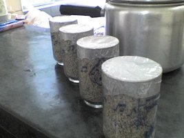 17-12-08_1117.jpg