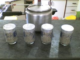 17-12-08_1115.jpg
