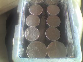 20-12-08_1041.jpg