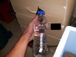 100_3374.jpg