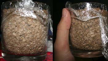 contaminacao.jpg