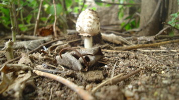 DSC00308.JPG