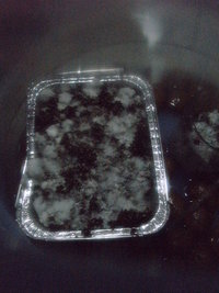 PICT0271.JPG