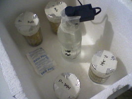 Foto3.jpg
