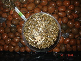 DSC02747.JPG