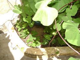 DSC03102.JPG