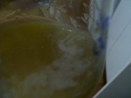 000_0108.jpg