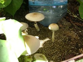 DSC03109.JPG