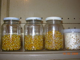 DSCN1973.JPG
