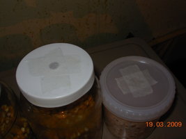 DSCN1974.JPG