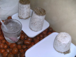 PICT0507.JPG