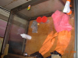 DSCN1978.JPG