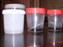 DSCN1983.JPG