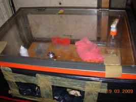 DSCN1977.JPG