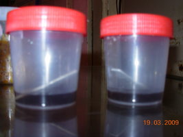 DSCN1982.JPG