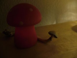 amanita e seu amigo.JPG