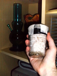 PICT0527.JPG