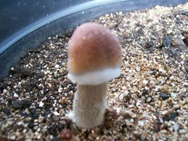 1112 005.jpg