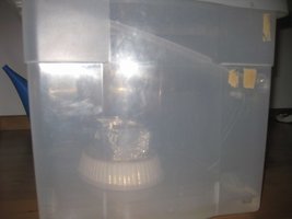 mini-IMG_6237.jpg