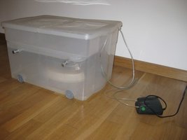 mini-IMG_6241.jpg