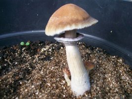 11123 002.jpg