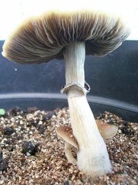 11123 015.jpg