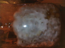 IMG155.JPG