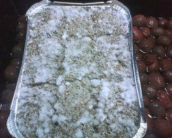 Casing 2.JPG