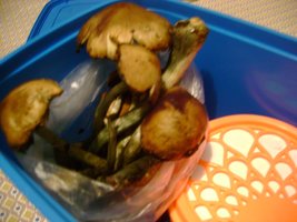 topico 1.jpg