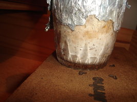 06-05III.JPG 06-05III.JPG