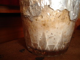 11-05II.JPG 11-05II.JPG