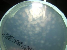 DSCN4278.JPG
