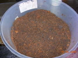 DSCN2241.JPG