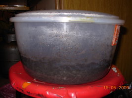 DSCN2246.JPG