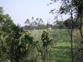 cacada3.JPG cacada3.JPG