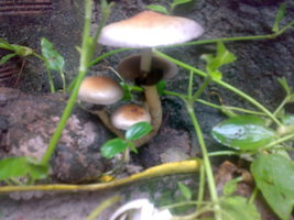 01062009010.jpg