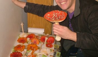 Amanita.JPG